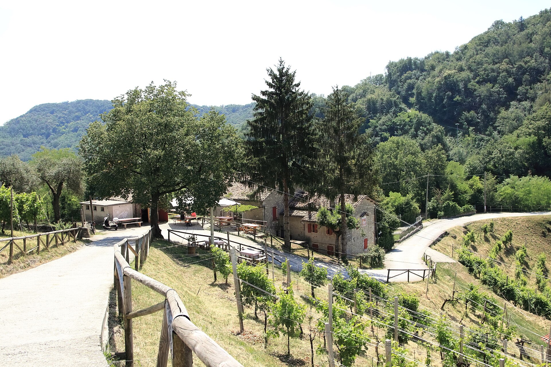 The Prosecco hills among the vineyards of Collagù, in the Conegliano and Valdobbiadene UNESCO area